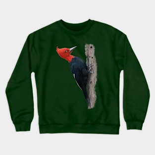 Magellanic woodpecker Crewneck Sweatshirt